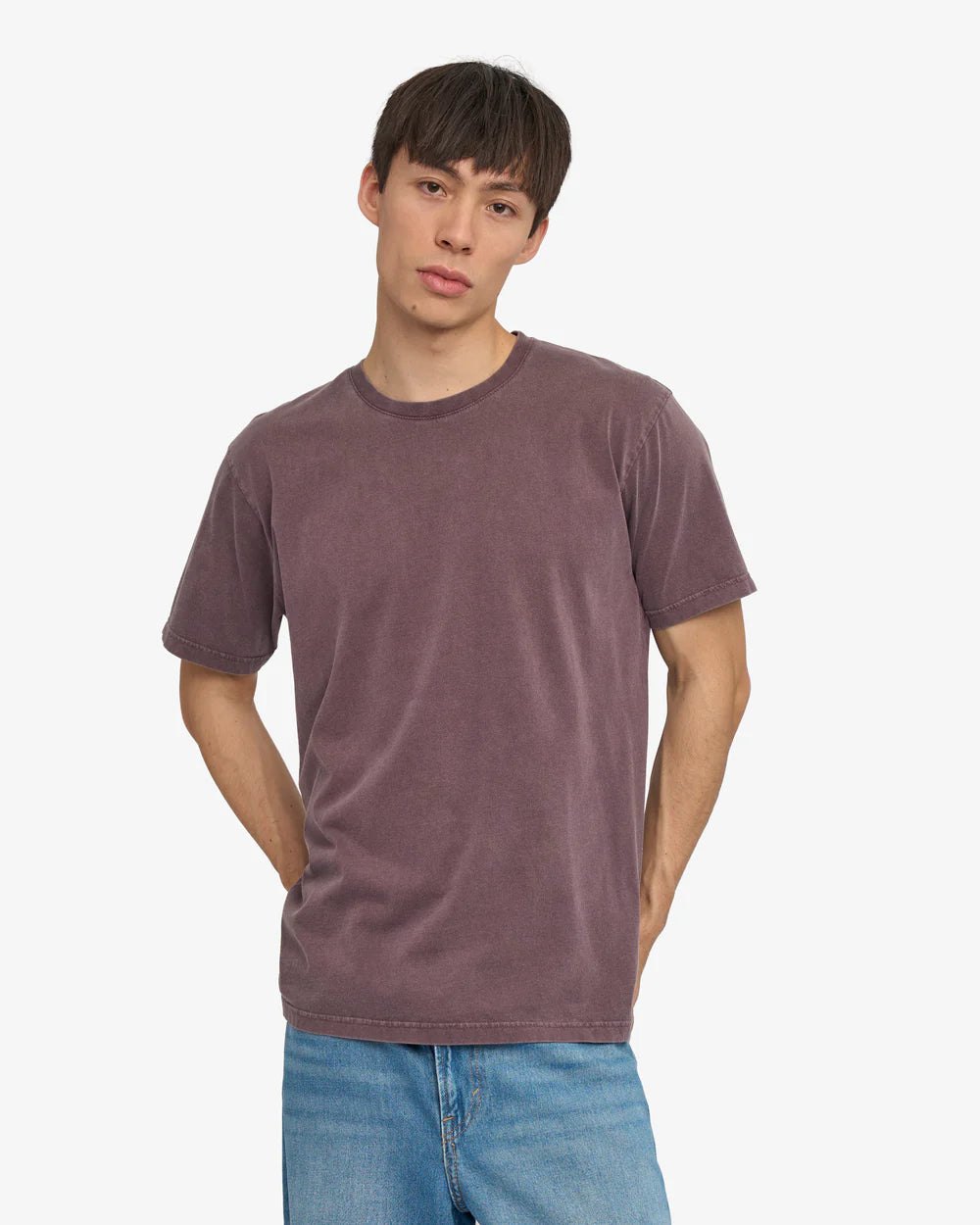 Classic Organic Tee Faded Grape