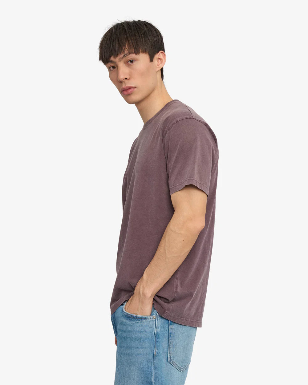 Classic Organic Tee Faded Grape