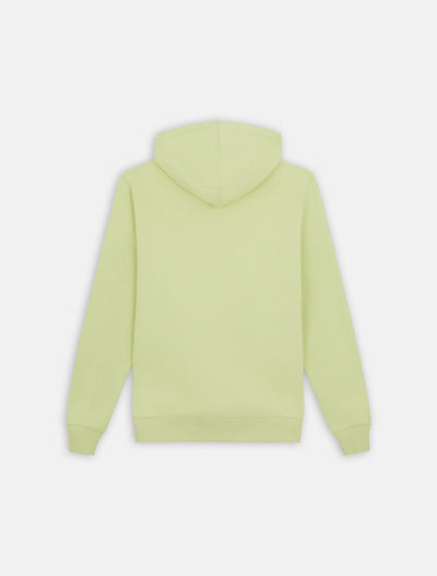 Dickies Hoodie Oakport Soft Green