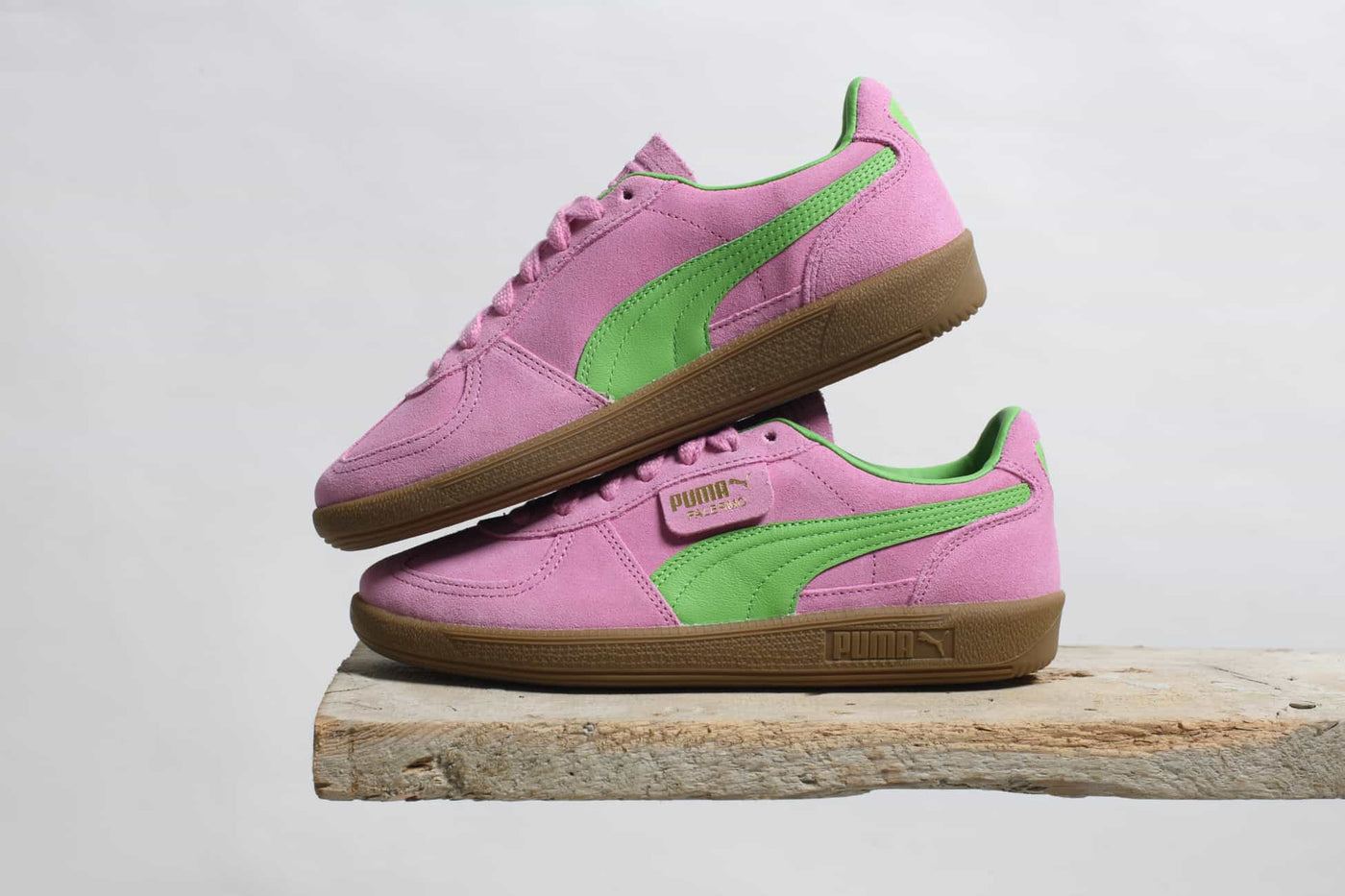 PUMA PALERMO SPECIAL pink delight green gum