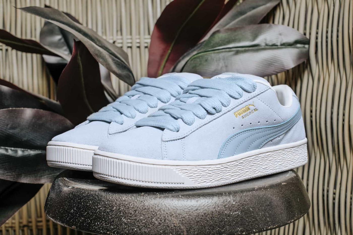 PUMA SUEDE XL dewdrop warm white