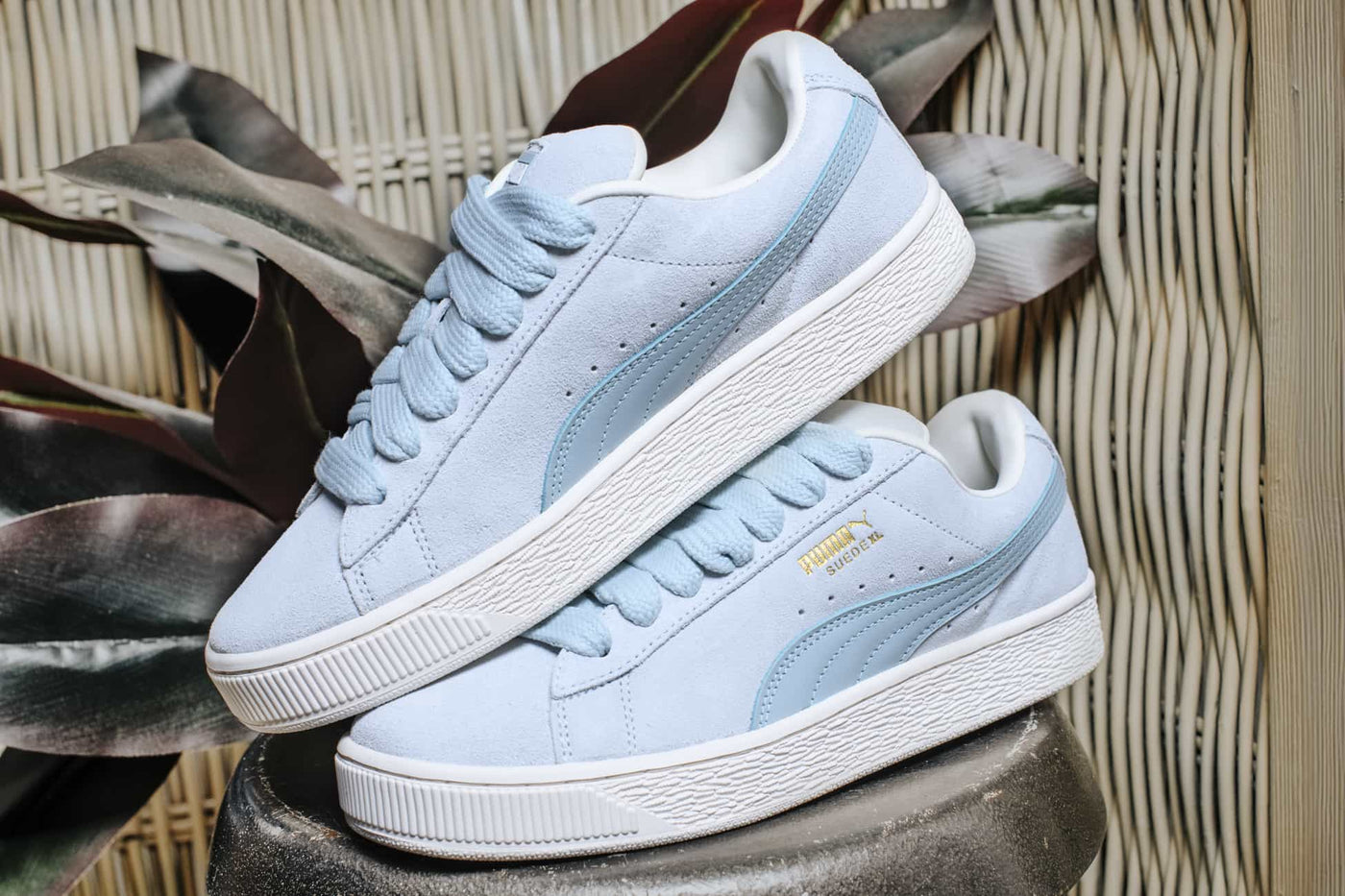 PUMA SUEDE XL dewdrop warm white